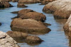 2021_09_12_MALLORCA_DON_TITO_CAPDEPERA_VANESSA_PAESAGGIO_MARE_1193